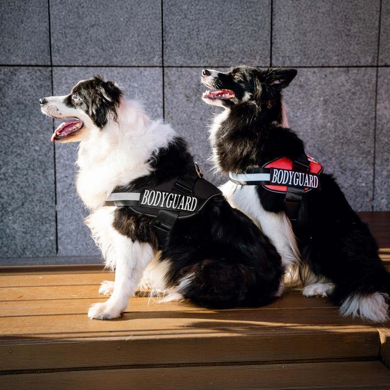 Odblaskowe elementy zwiększające widoczność