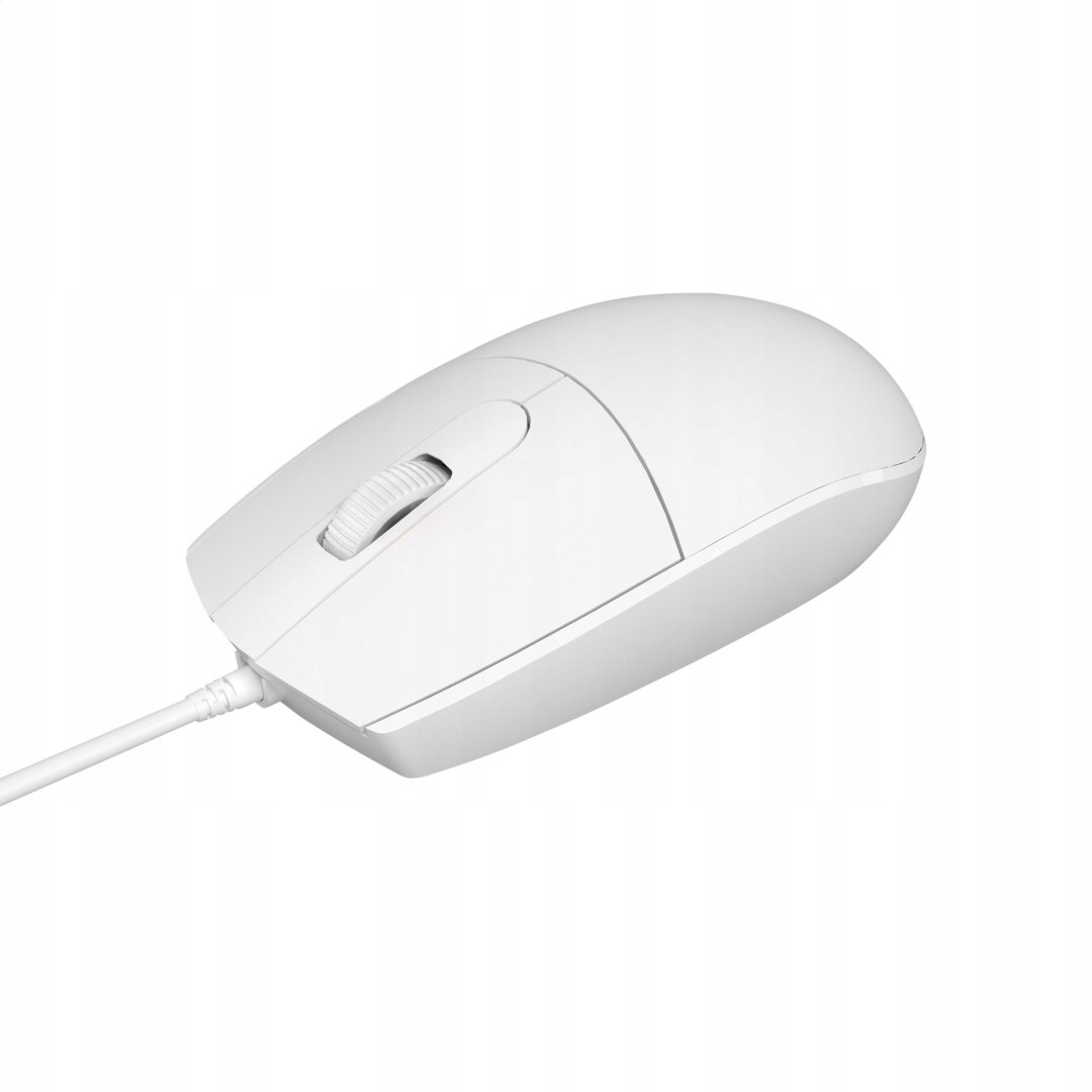 Klasyczna biała kolorystyka – elegancja w każdym biurze