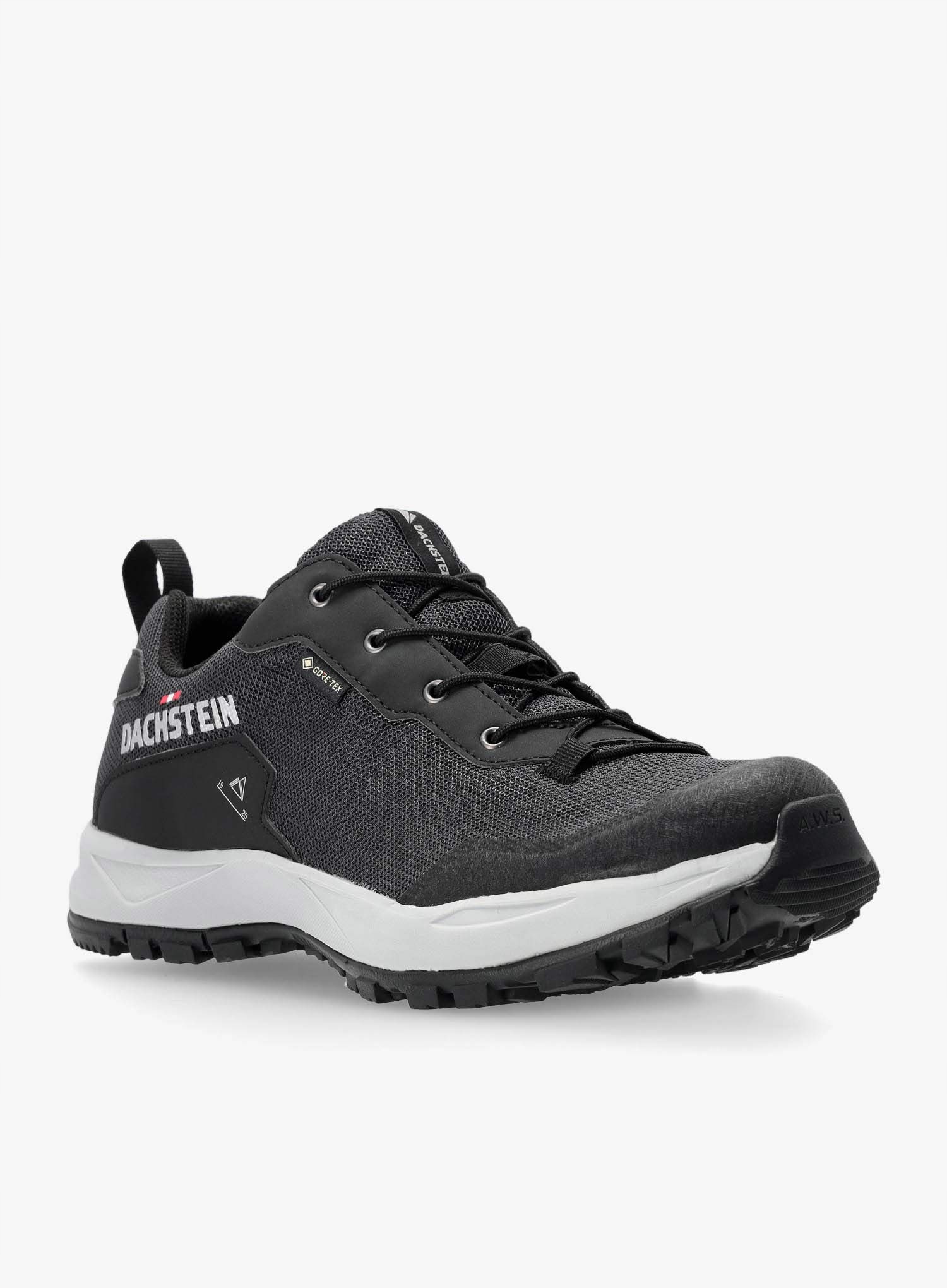 Buty trailowe Dachstein Delta Ascent GTX - black – Idealne do biegania w terenie