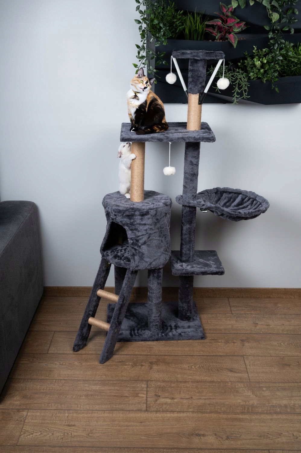 Wyposażenie drapaka – Domek, legowisko i platformy do obserwacji