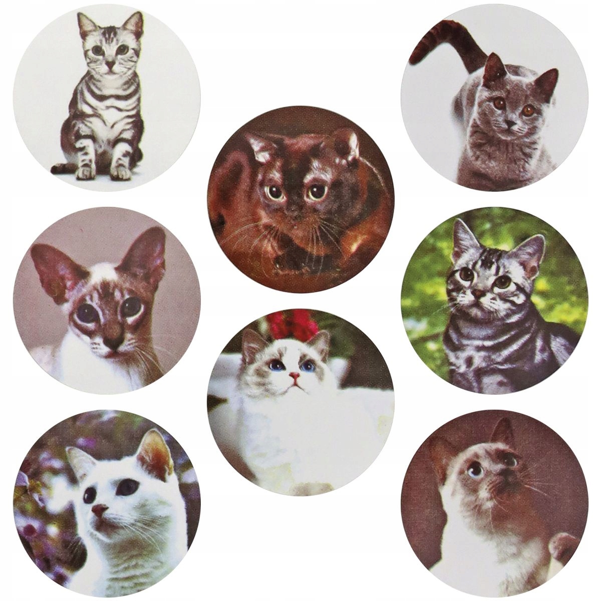 Wysoka jakość i różnorodność wzorów