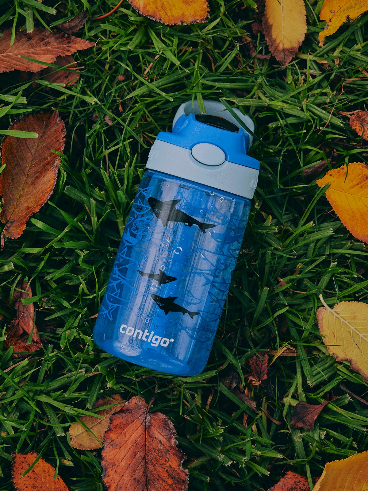 Butelka-dla-dzieci-Contigo-Easy-Clean-420-ml-Shark_Zalety-Butelki-Contigo-Easy-Clean.png?v=1676975339125