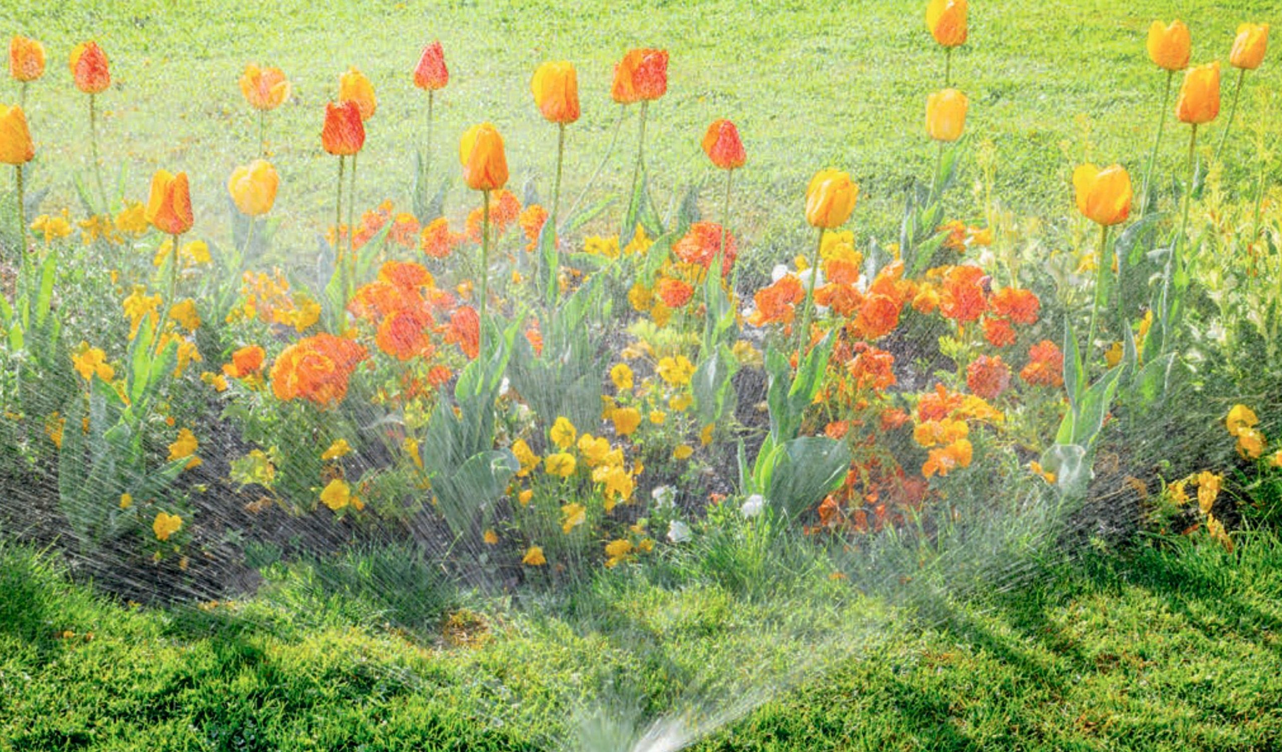 Ułatwione podlewanie nawet w trudno dostępnych miejscach