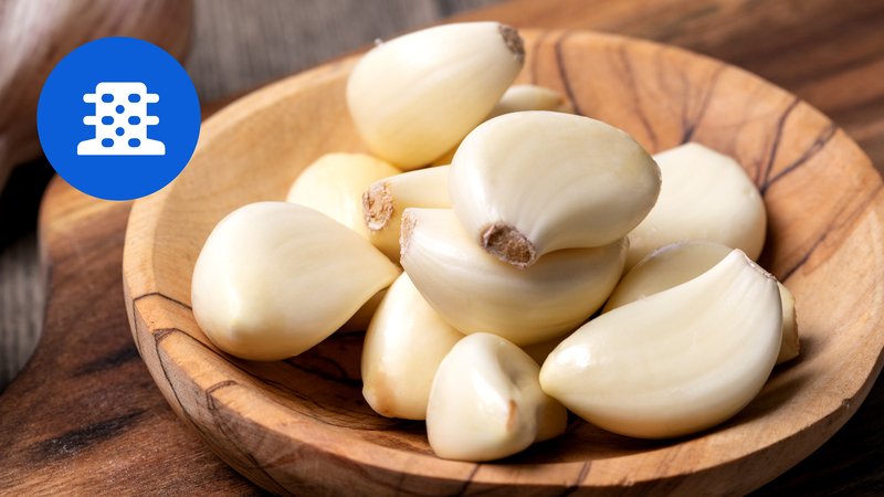 Philips 5000 series HR1507/00 Rozdrabniacz – Twój niezastąpiony pomocnik w kuchni