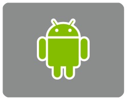 Badge 13