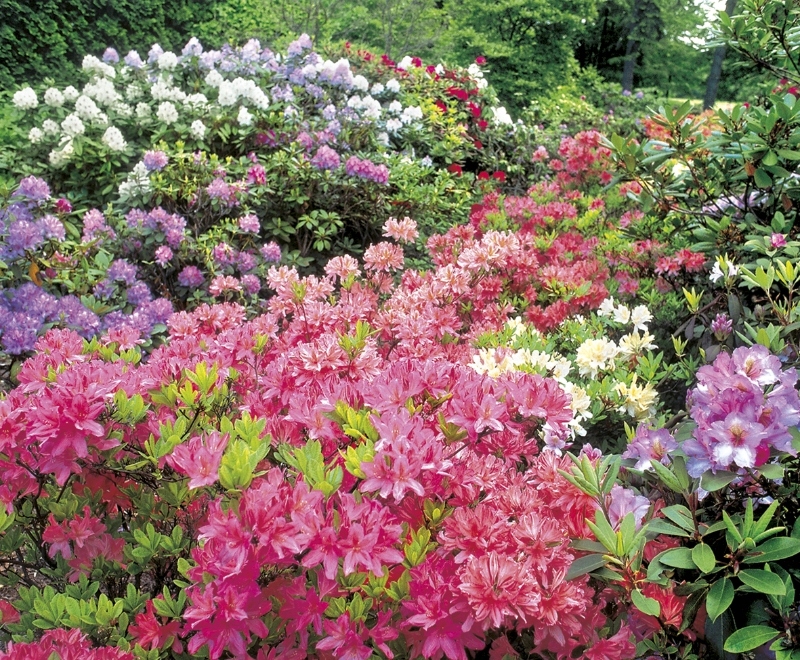 Wysokiej Jakości Papier i Spirala do Zawieszenia