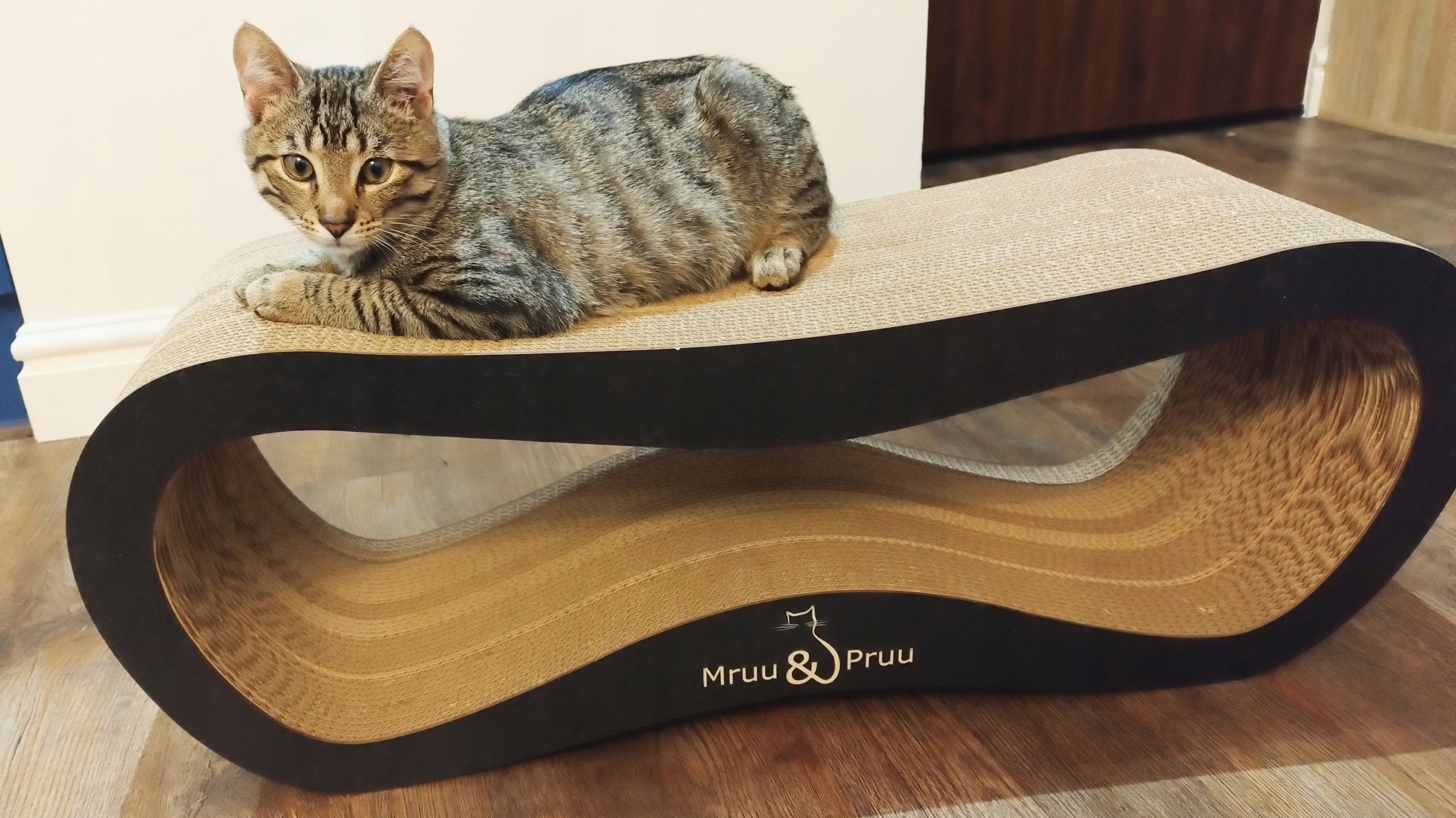 Drapak dla kota czarny mega LEON – Wygodne legowisko i zabawka w jednym