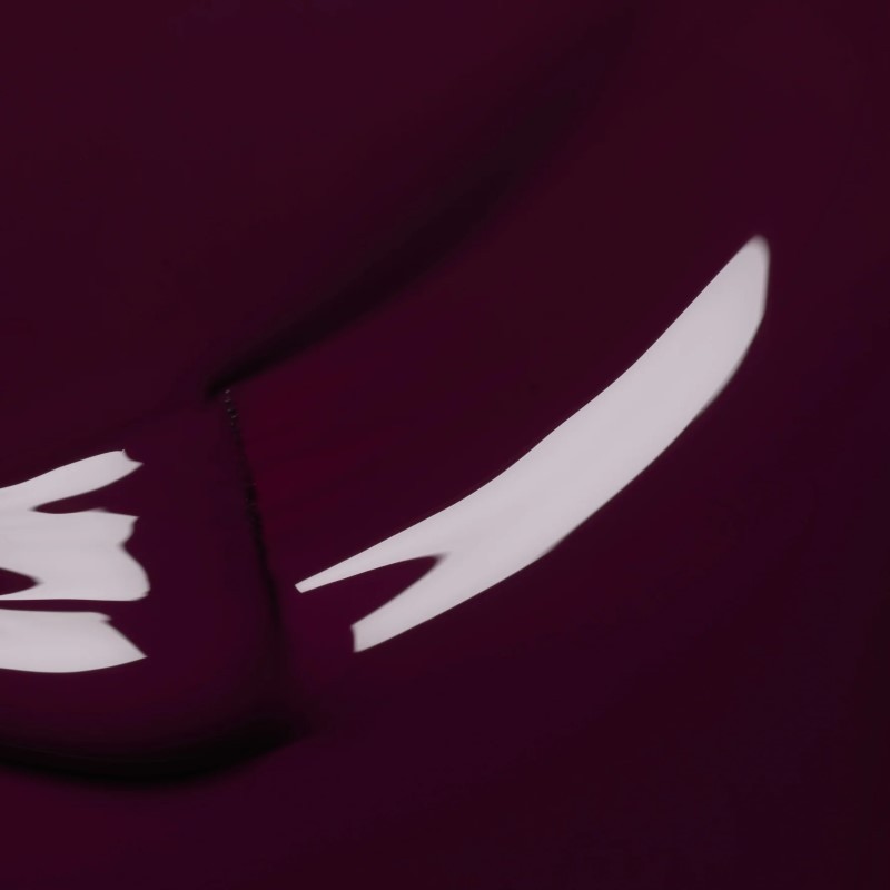 Piękna pigmentacja i ekstremalny połysk