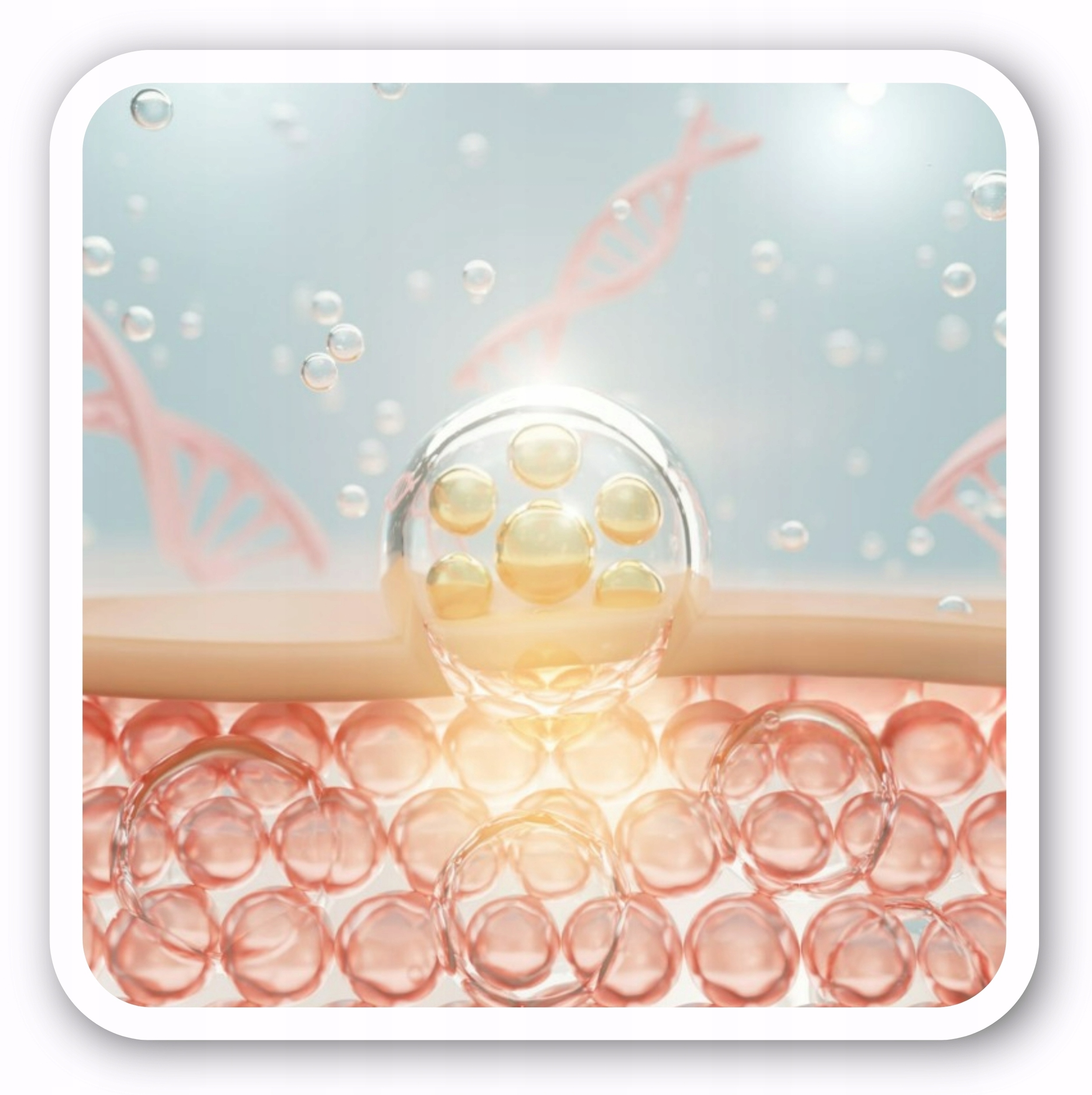 Hialuronian sodu i cynk – kluczowe składniki dla zdrowia