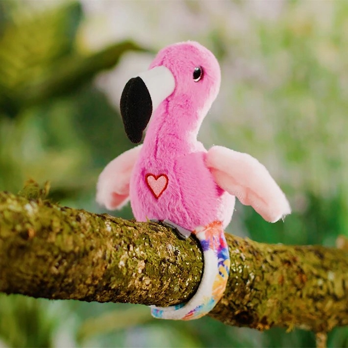 Kolorowe ptaszki, które powtarzają Twoje słowa