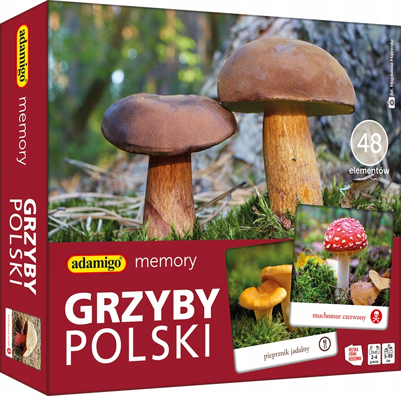 Gra Memory Grzyby Polski – Edukacyjna zabawa dla całej rodziny