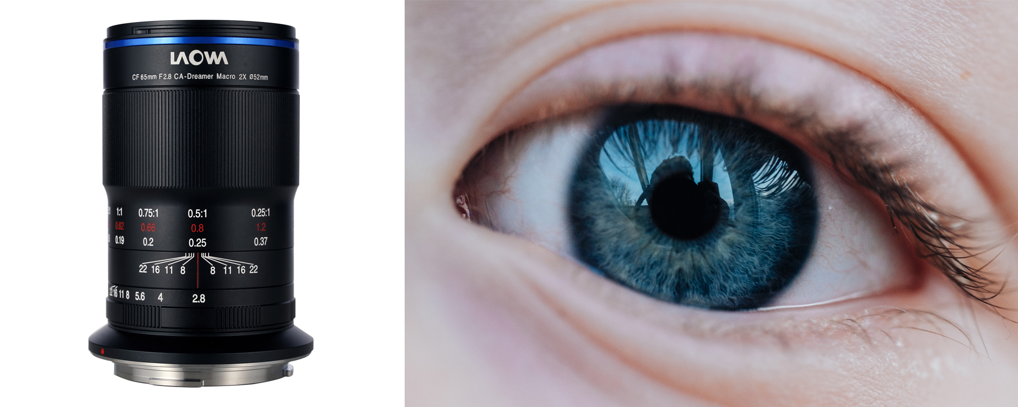 Obiektyw Venus Optics Laowa 65 mm f/2,8 2x Ultra Macro APO do Canon RF