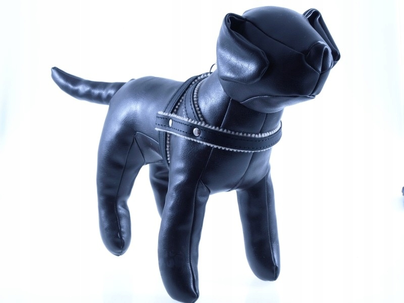 KOZŁOWSKI SZELKI SKÓRA NR 1/40 CZARNE – Komfort i styl dla Twojego pupila