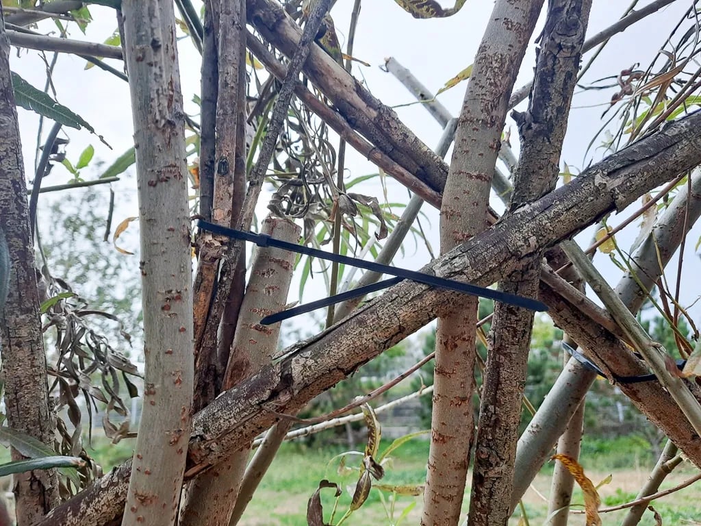 Wysoka jakość materiału nylonowego