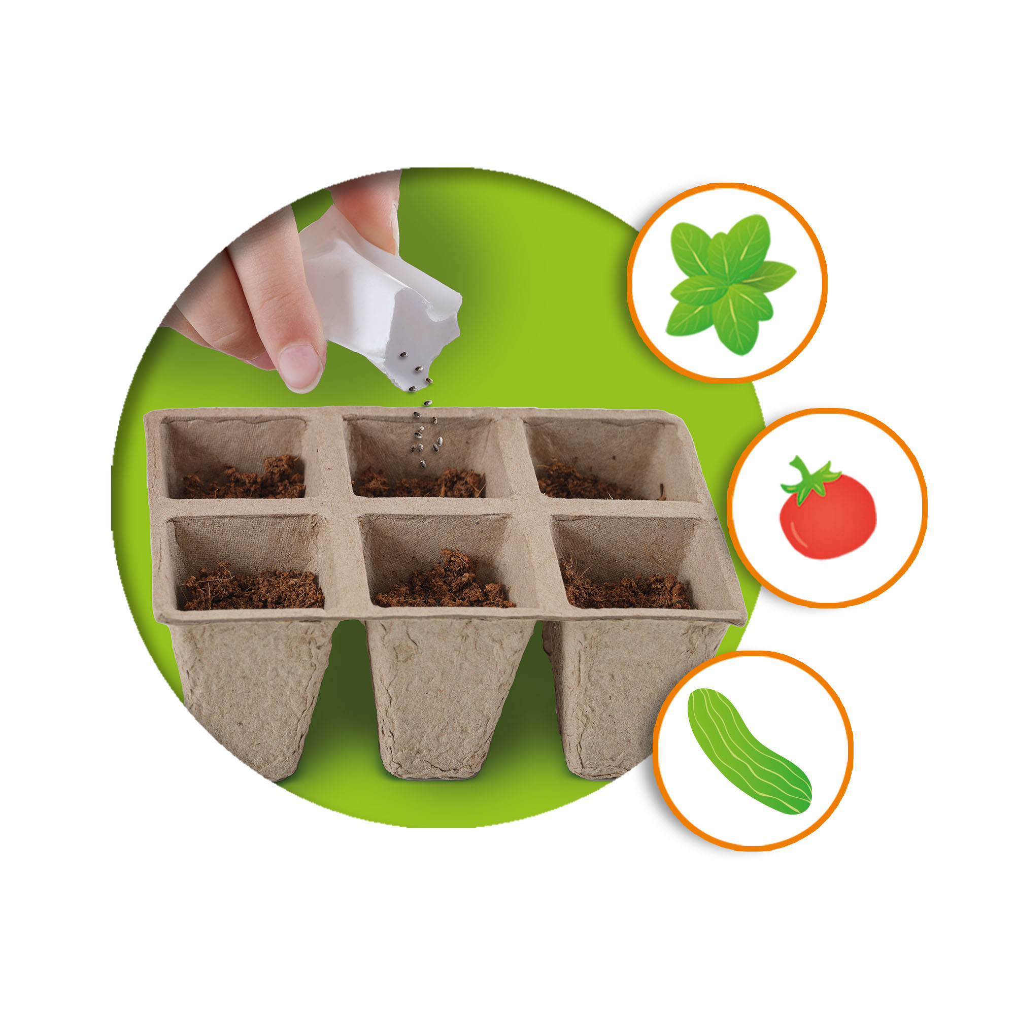 Zawartość zestawu – wszystko, co potrzebne do siewu