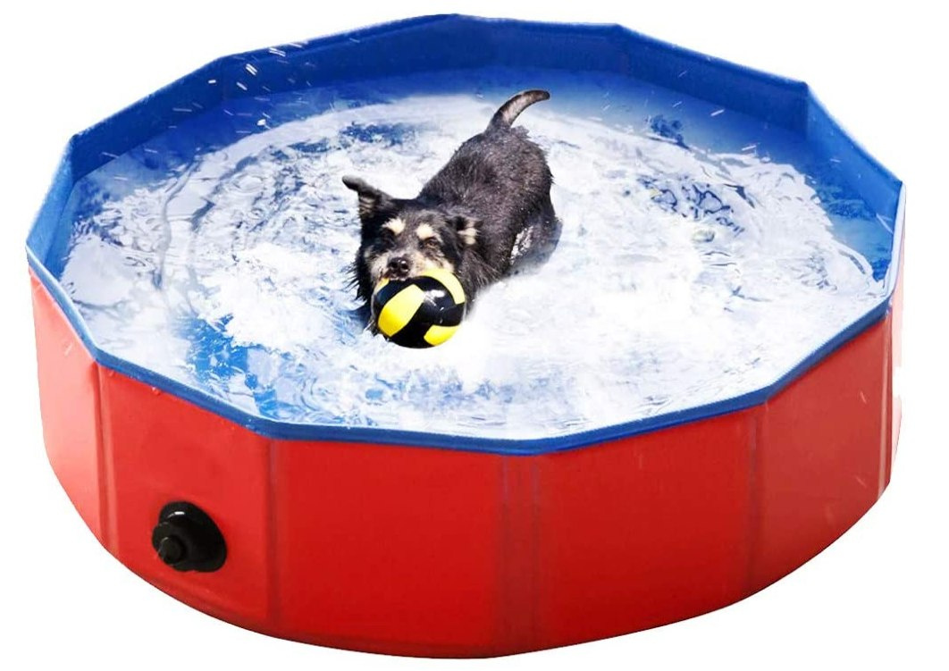 Basen Ogrodowy Składany dla Psa 80x30cm Niebieski MAXXPRO – Idealne orzeźwienie dla Twojego pupila