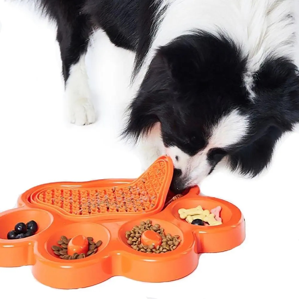 Różnorodność Karmienia – Odkrywanie Nowych Smaków