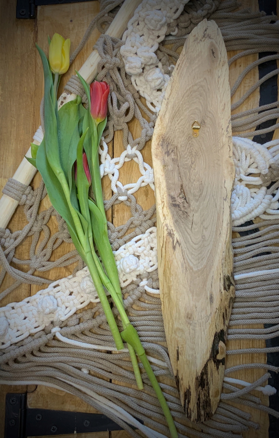 2214f72241c2a1c5c40842a6d2d6