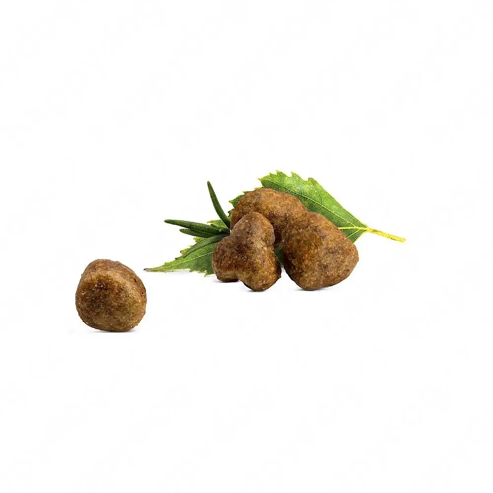 Aktywne składniki wspierające skórę