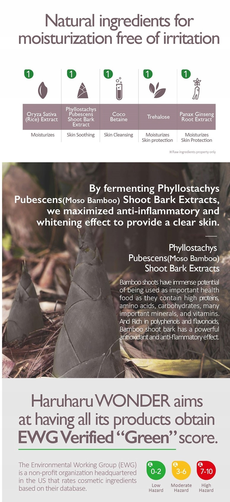 Składniki aktywne – Moc czarnego ryżu i ekstraktów roślinnych