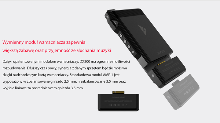 IBASSO DX200