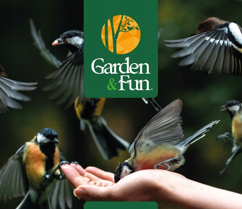 Mieszanka nasion i ziaren dla wszystkich ptaków