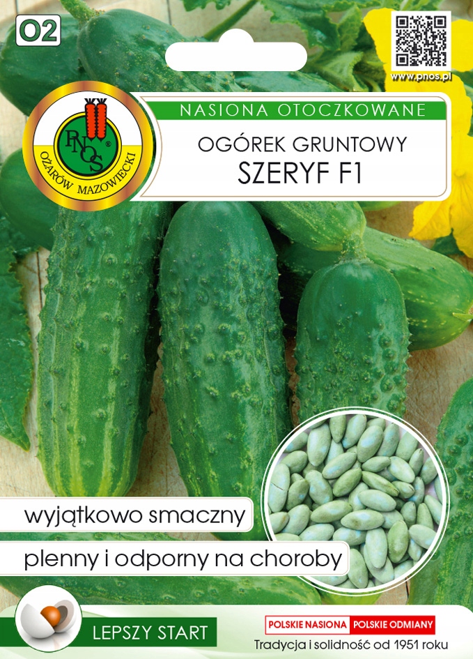 Wyjątkowo wczesna i plenna odmiana ogórka
