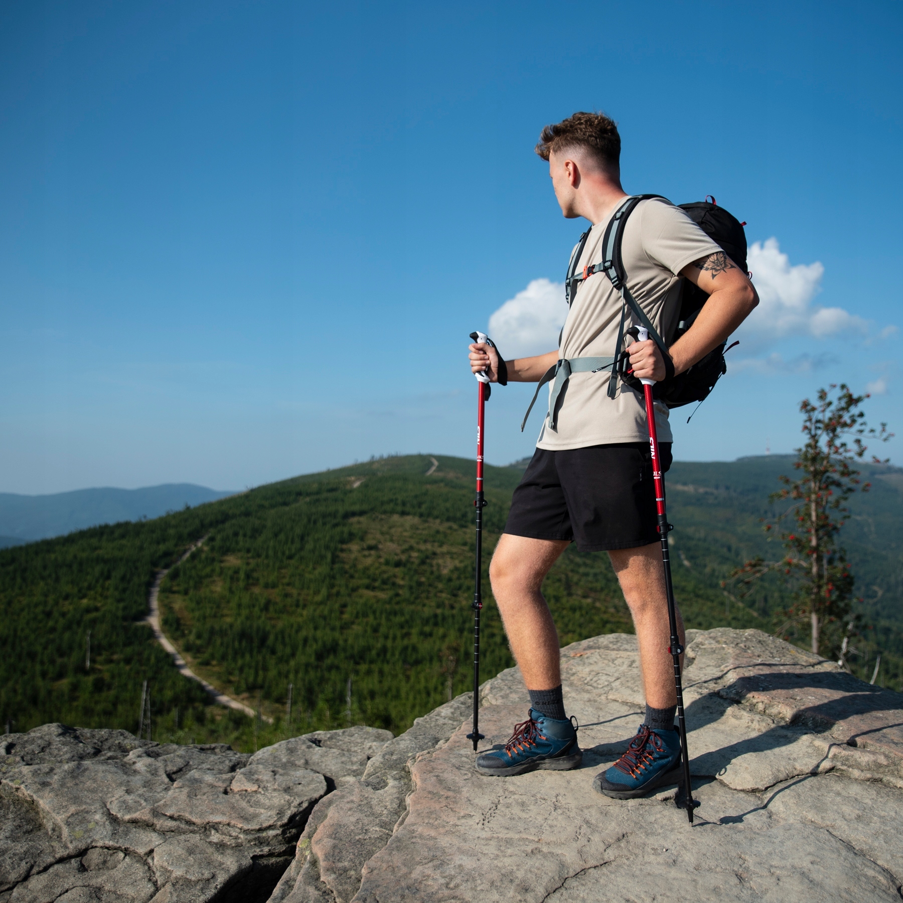 Kijki trekkingowe Nils Aluminiowe TK8601 – Idealne wsparcie na każdej wędrówce