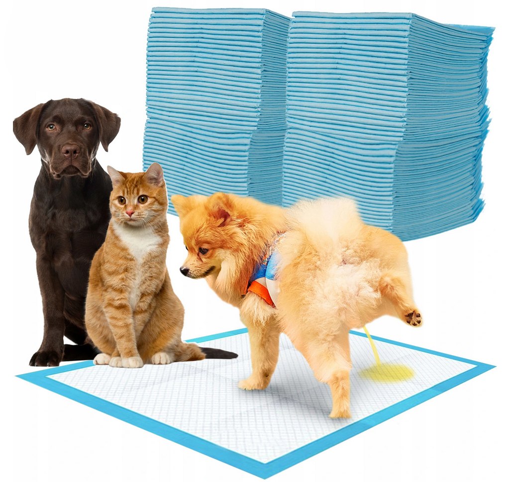 Łatwe w użyciu do nauki sikania