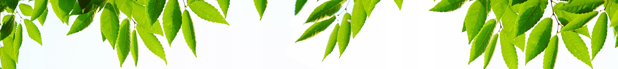 Zestaw zawiera: krzesło, drążek, poduszki i pokrowiec