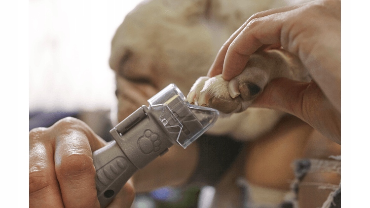 Osłona chroniąca sierść i zapobiegająca rozprzestrzenianiu się kurzu