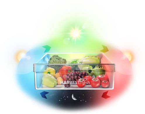 HarvestFresh