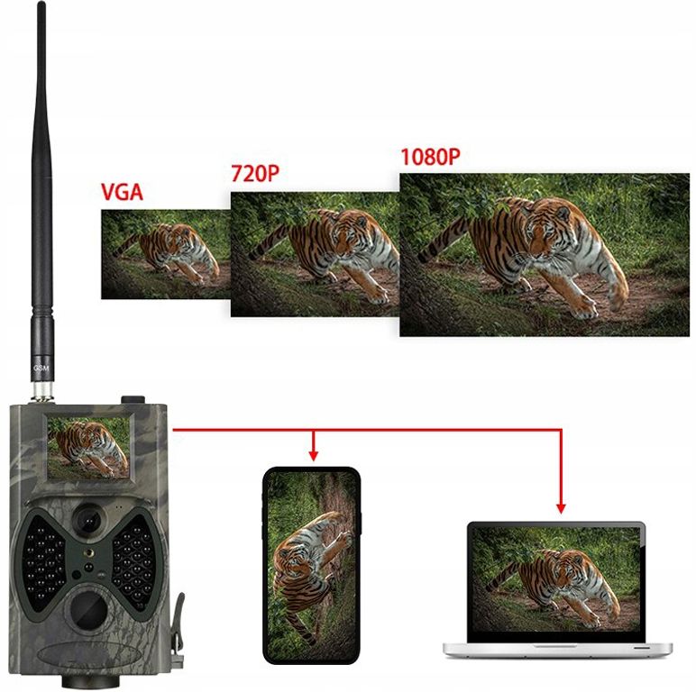 fcbb846be4cfd290ba58907cbbd1e279.jpg
