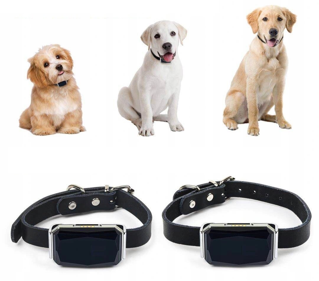 Kompaktowe rozmiary i niska waga