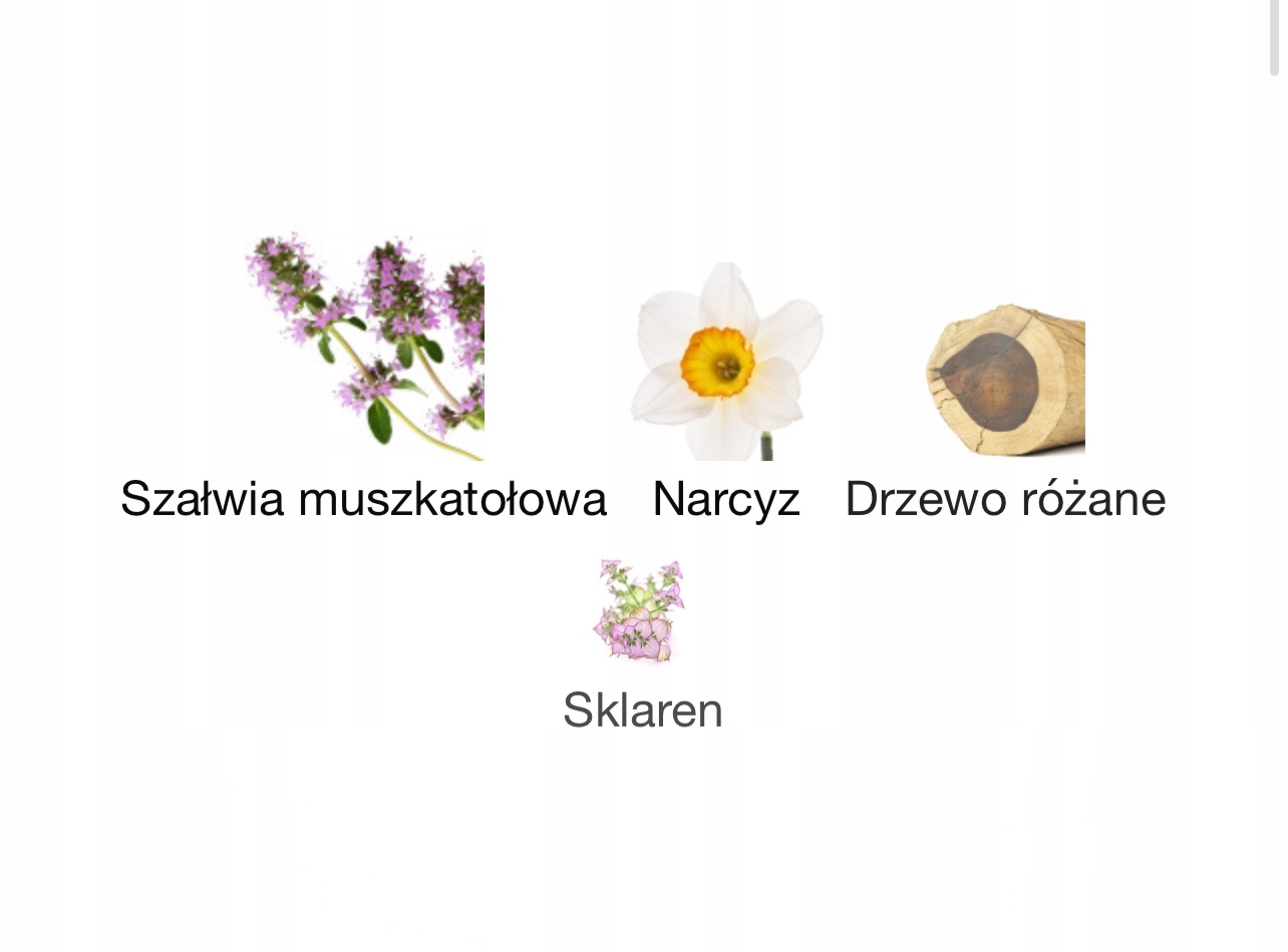 Nuty zapachowe: narcyz, szałwia, drzewo różane