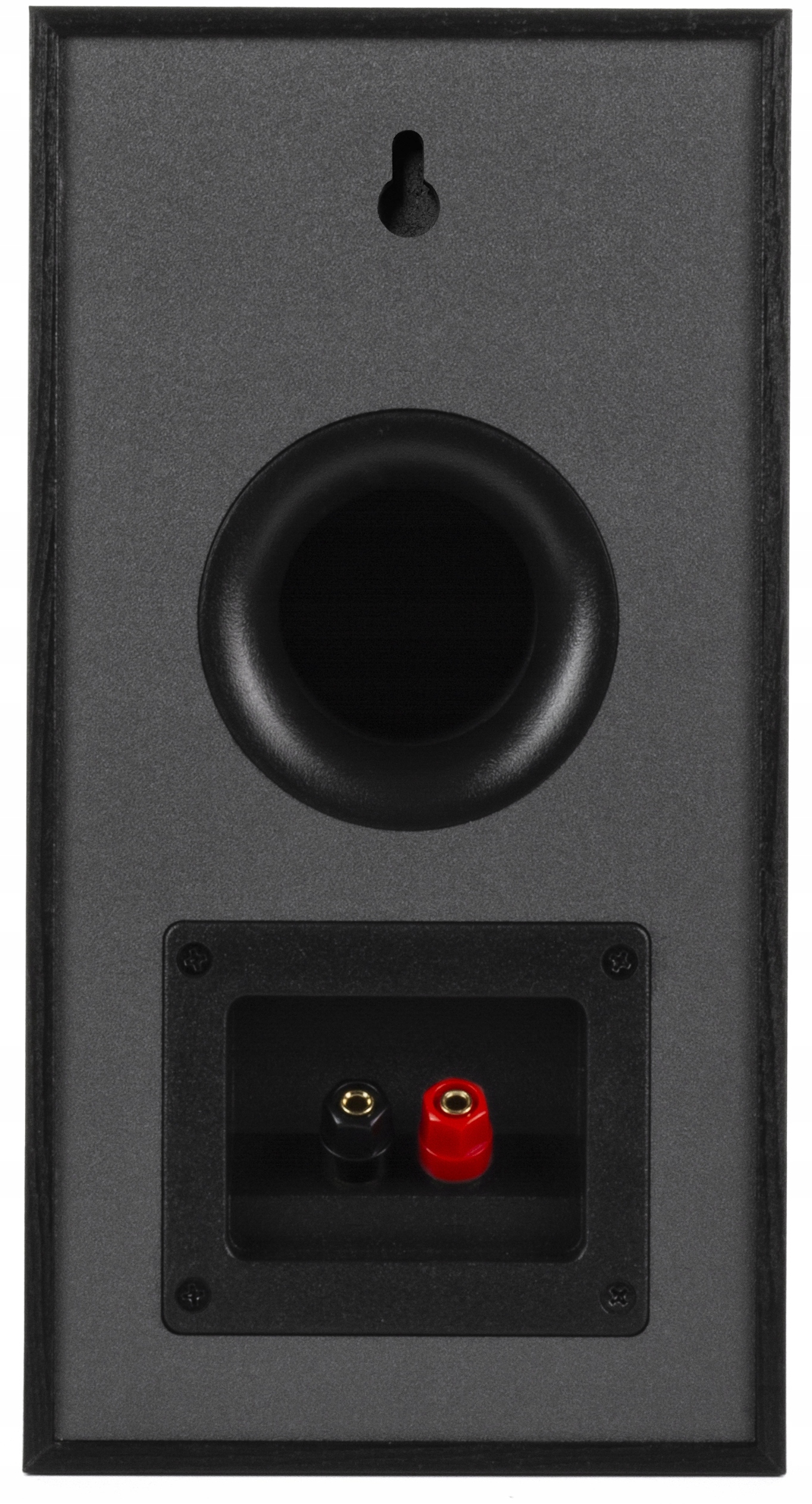 Innowacyjna technologia głośników: Tuba Tractrix i LTS