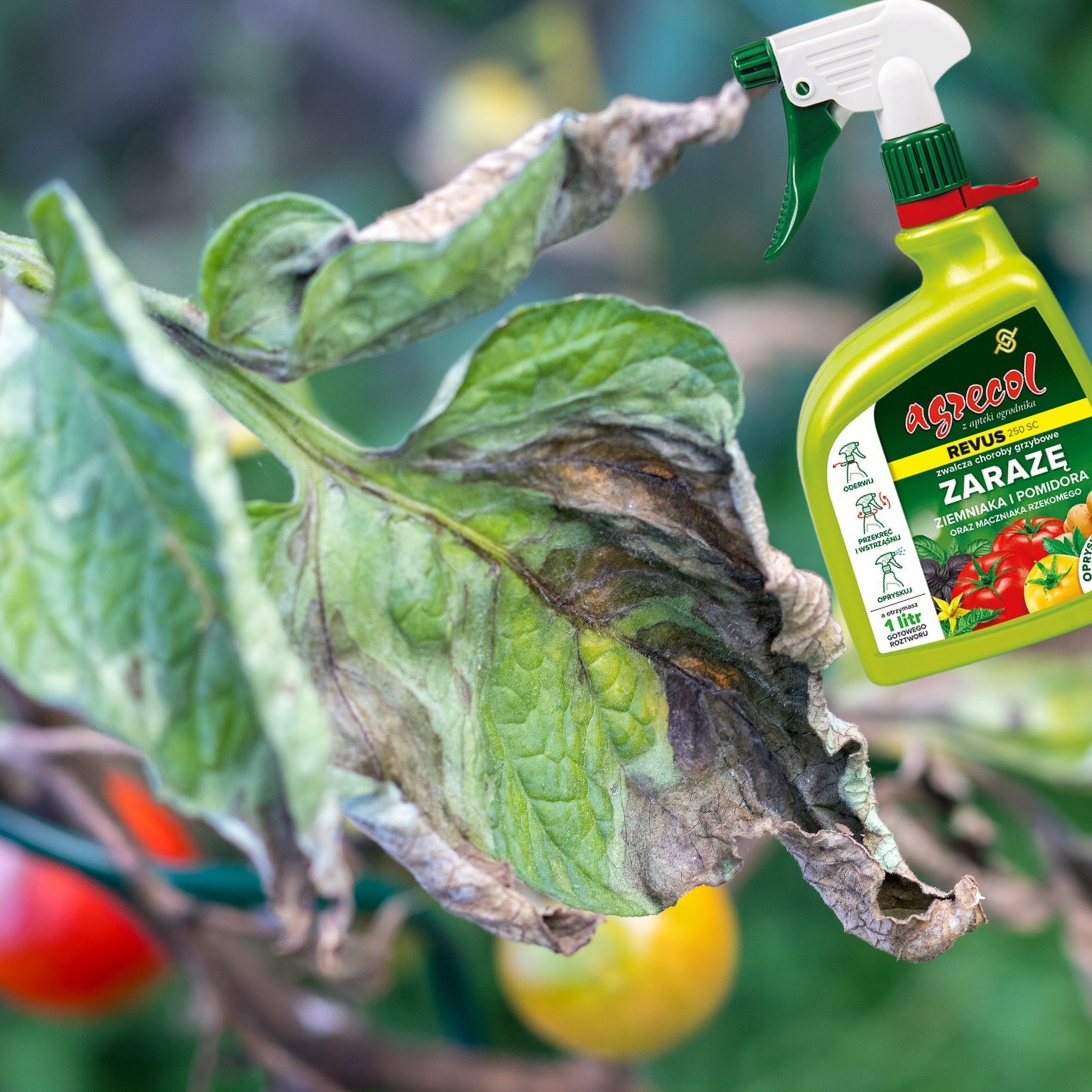 Revus 250 SC pre-RTU – Skuteczna ochrona przed zarazą w Twoim ogrodzie