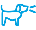 ikona