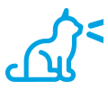 ikona