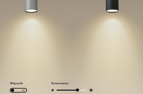 ilustracja
