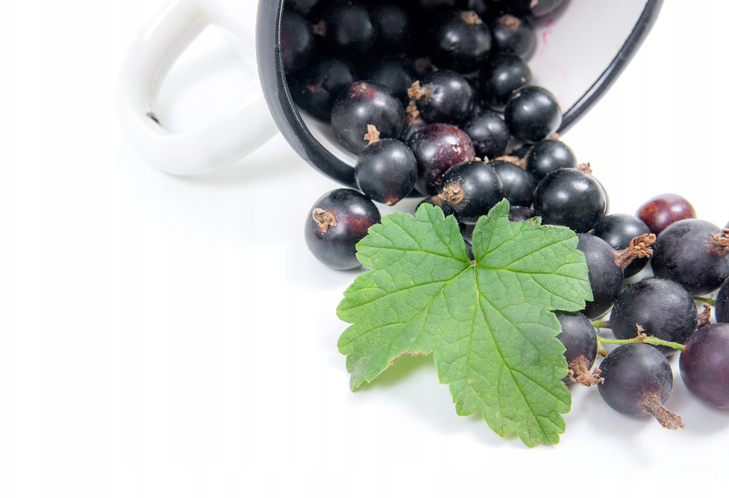 Intensywny smak czarnej porzeczki i hibiskusa