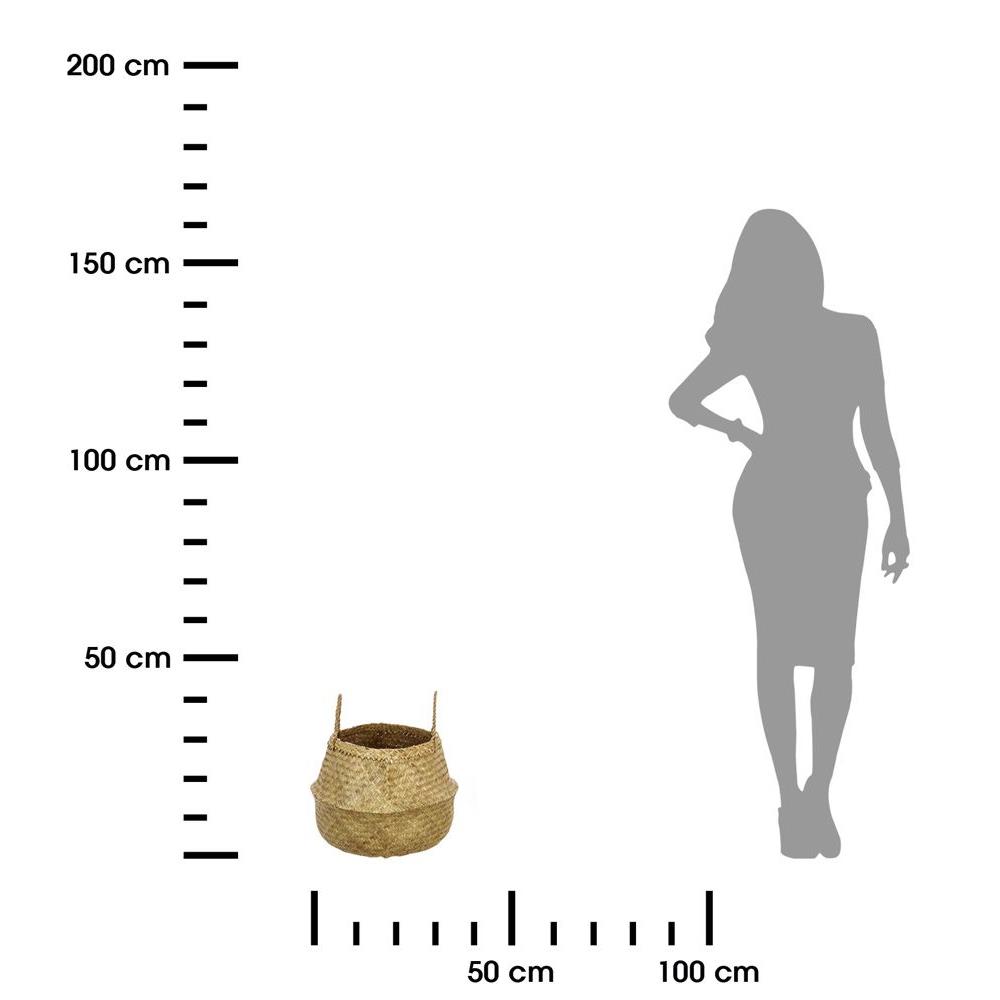 290863.jpg
