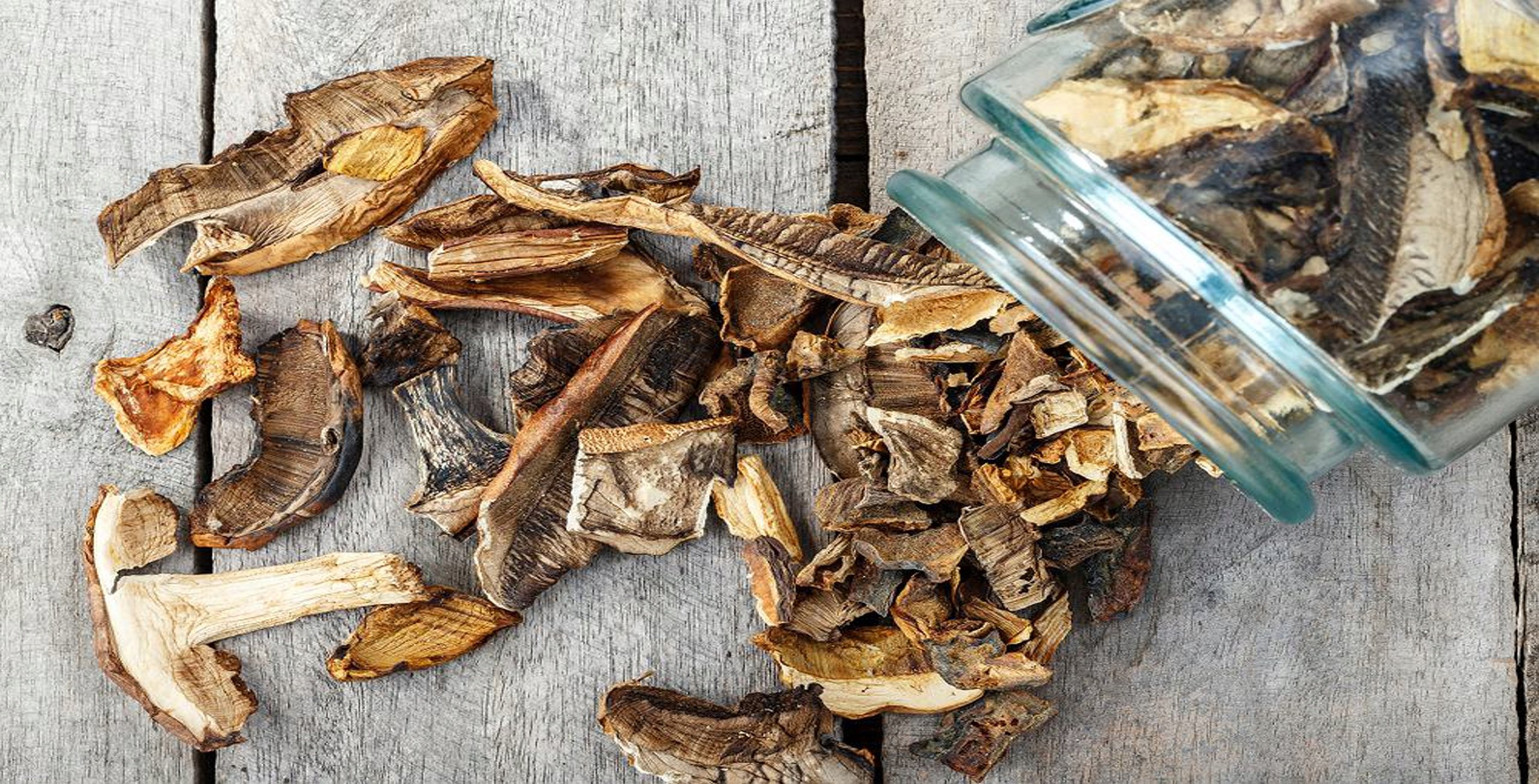 Przezroczysta obudowa – Łatwe monitorowanie procesu suszenia