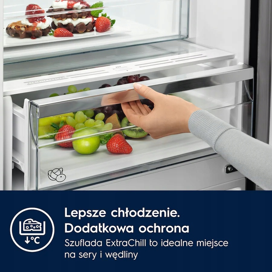 Pojemność i organizacja wnętrza lodówki