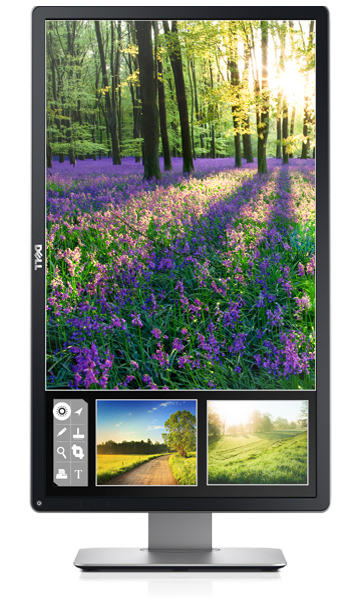 Monitor Dell 24 P2414H — elastyczne możliwości oglądania