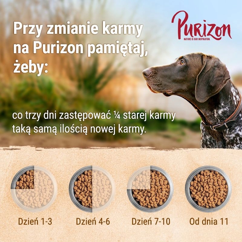 Zalecenia żywieniowe dla zdrowego rozwoju psa