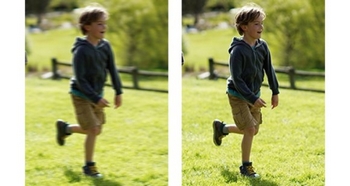 /suppliers/images/description/830/282/aa8f55a746904f6c33238de3c6269585.jpg