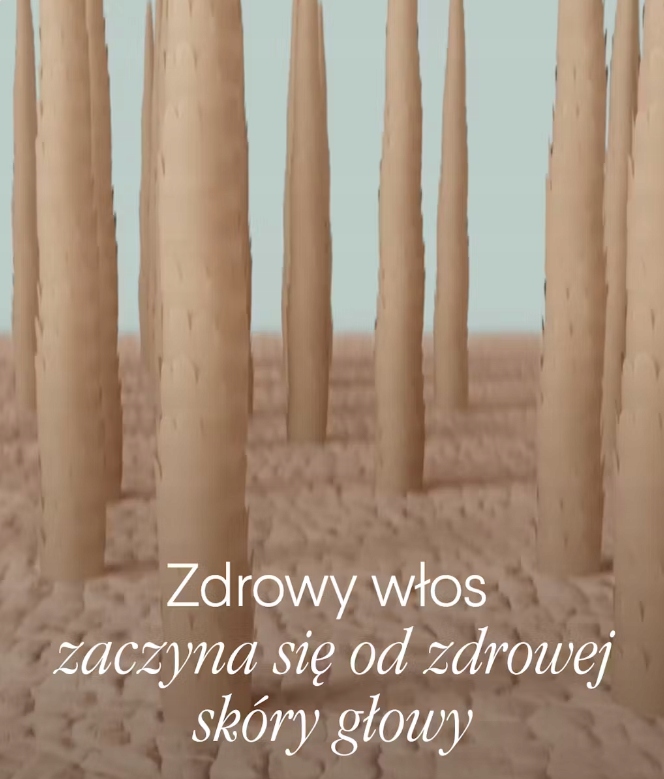 Rekomendacje trychologa dla lepszych efektów