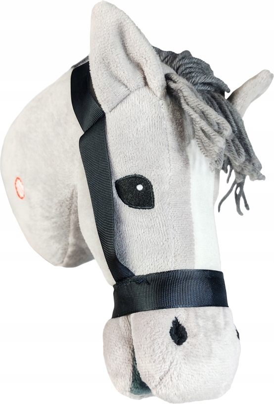 Grzywa do czesania – Ucz się pielęgnacji swojego konika