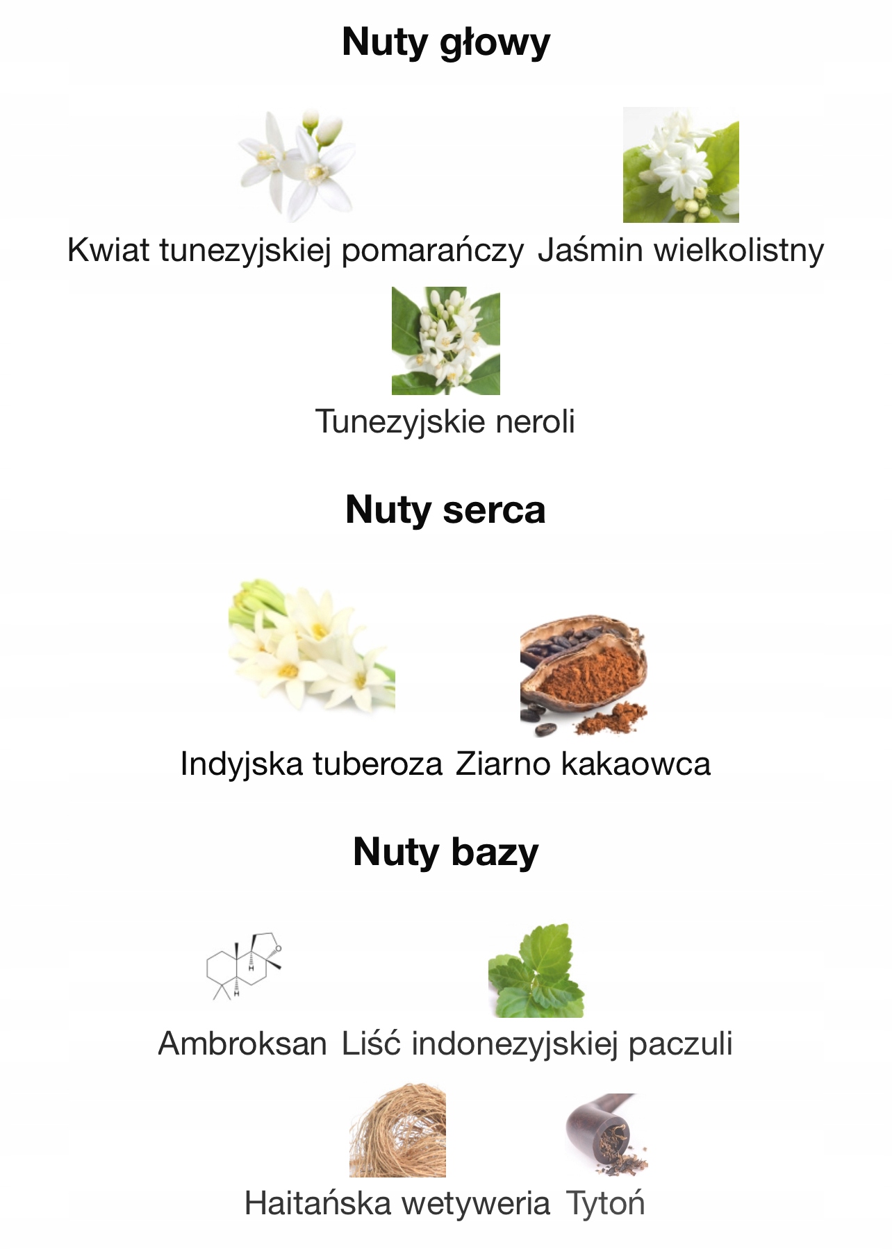 Nowoczesne orientalno-kwiatowe nuty zapachowe